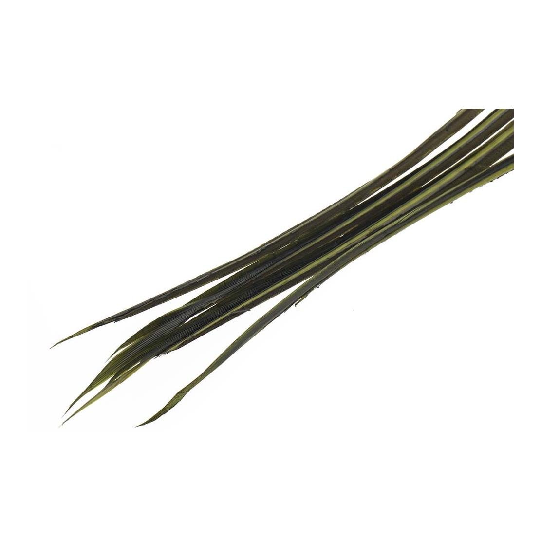 Image of Wapsi Stripped Turkey Biots - Blue Wing Olive - Truthahn bei fischen.ch