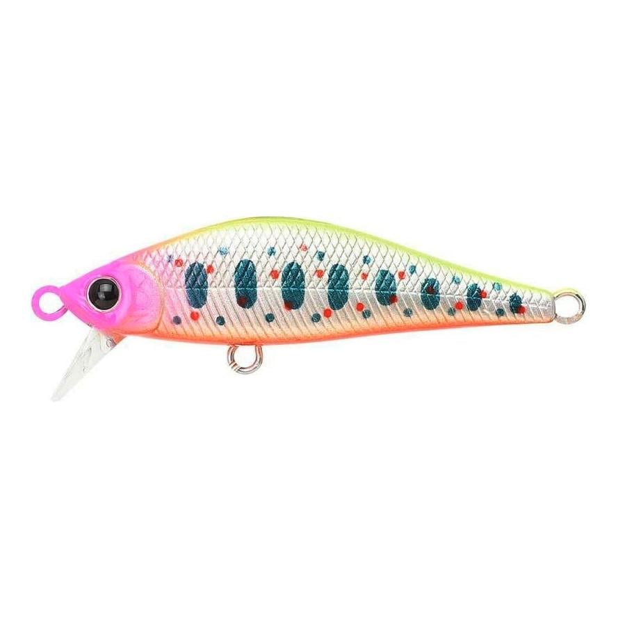 Pointer 50 S – Poisson nageur