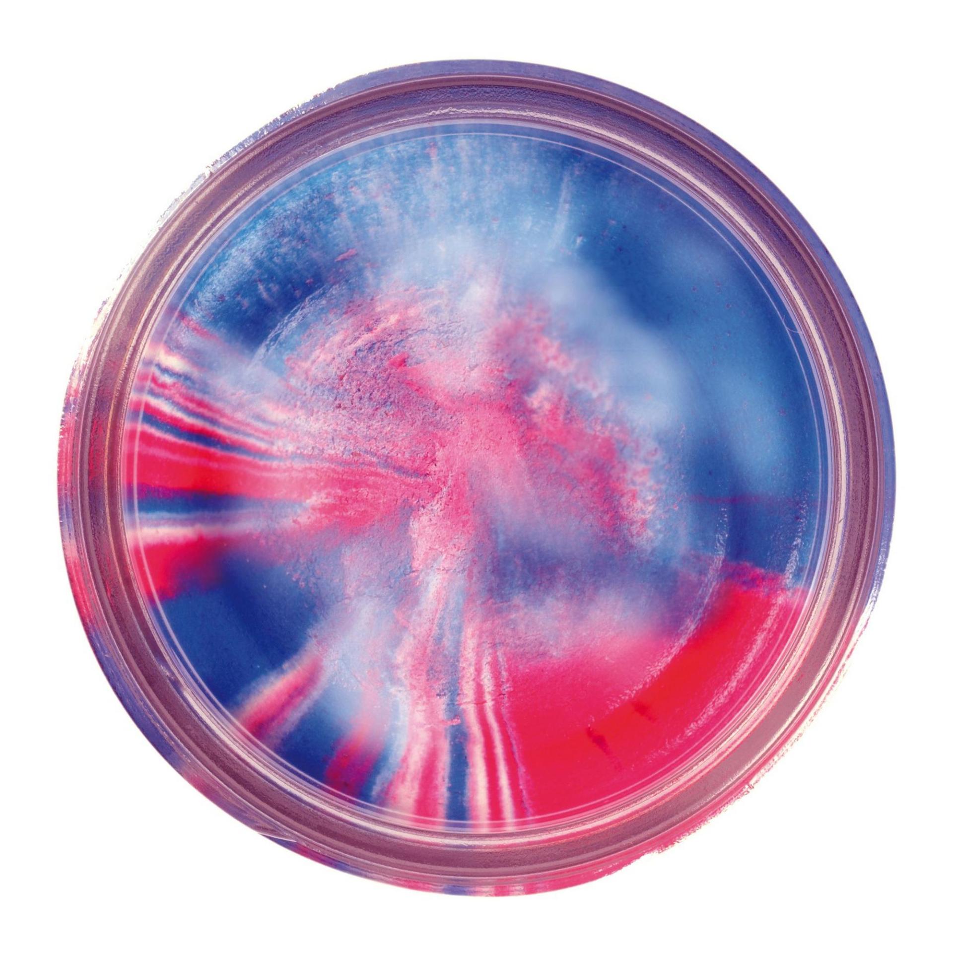 Garlic CPT America Glitter