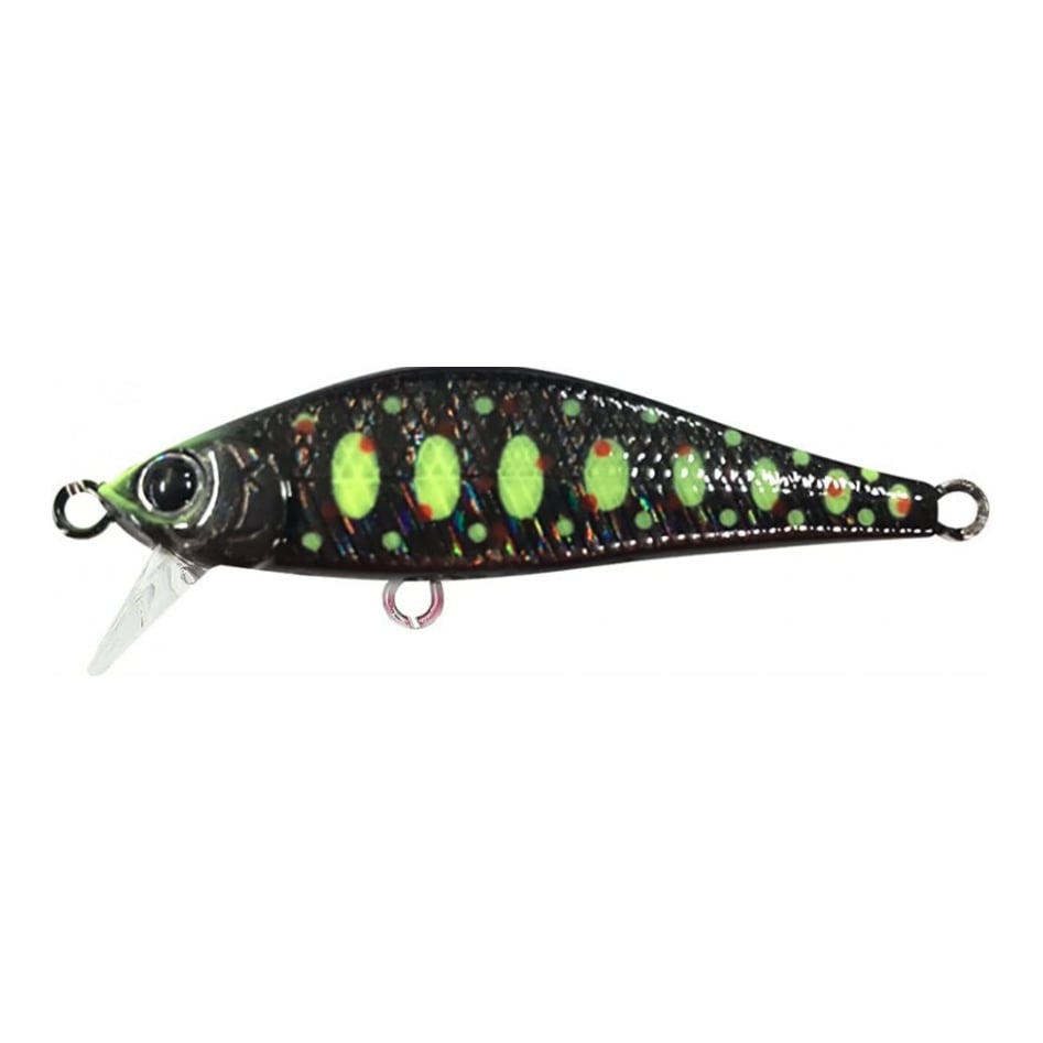 Pointer 50 SS - Wobbler