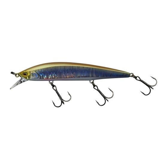 Aurora Baitfish