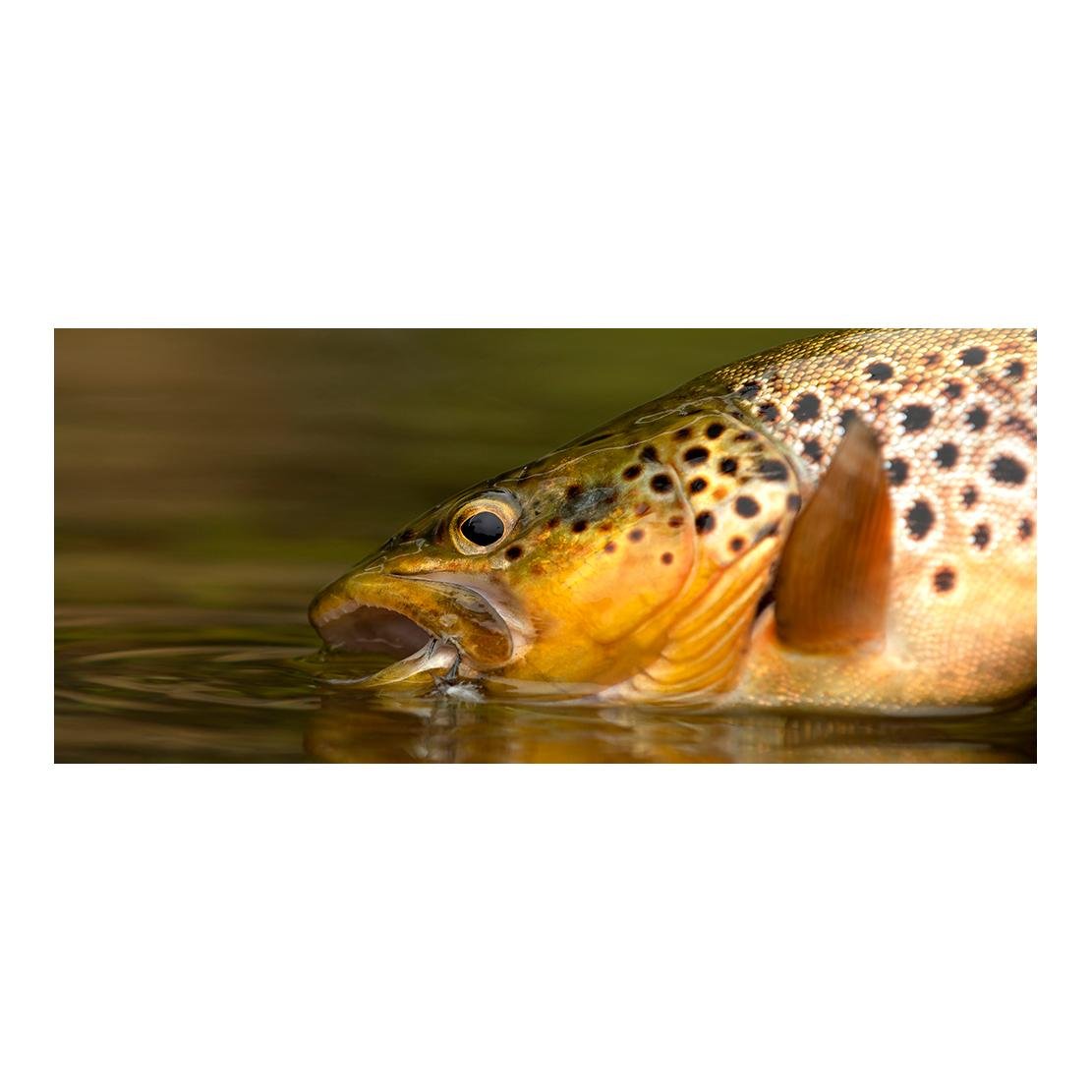 FW571 - Dry Long - Fliegenhaken