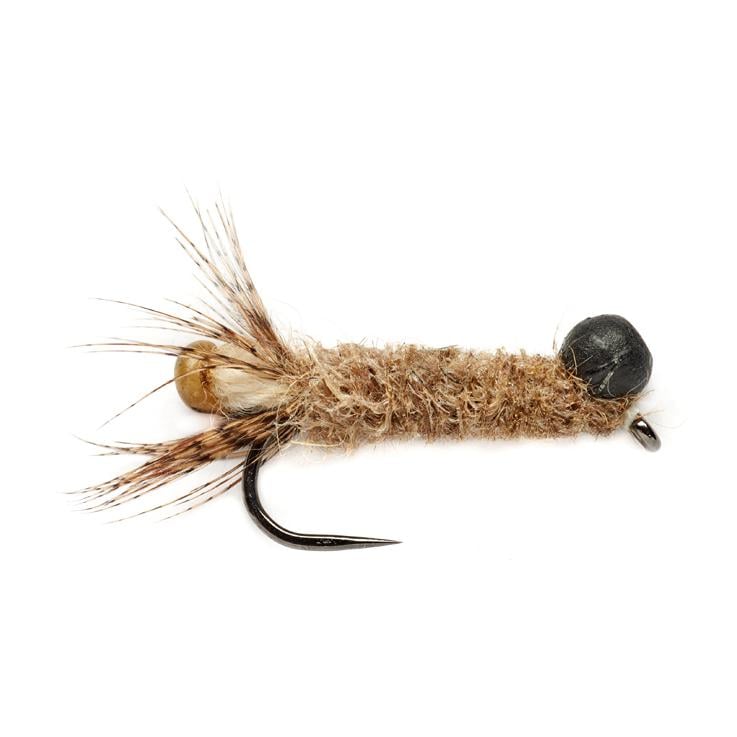 Image of Fulling Mill OE Peeping Caddis Original o.W. - Nymphe bei fischen.ch