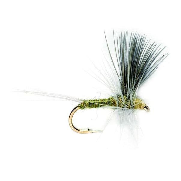 Fulling Mill Thorax BWO - Trockenfliege