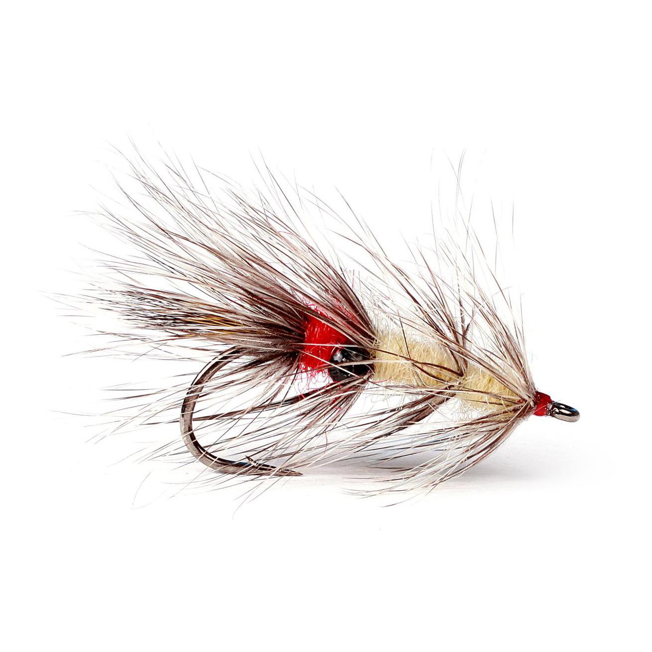 Vaskebjørn - Streamer