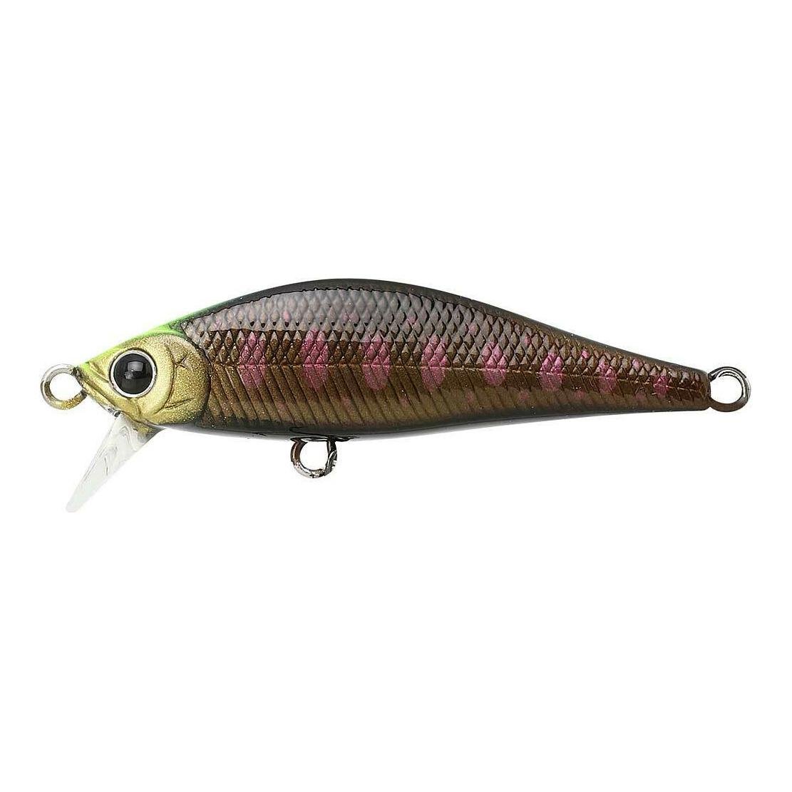 Image of Lucky Craft Pointer 50 SS - Wobbler - Winter Stream Perch - bei fischen.ch