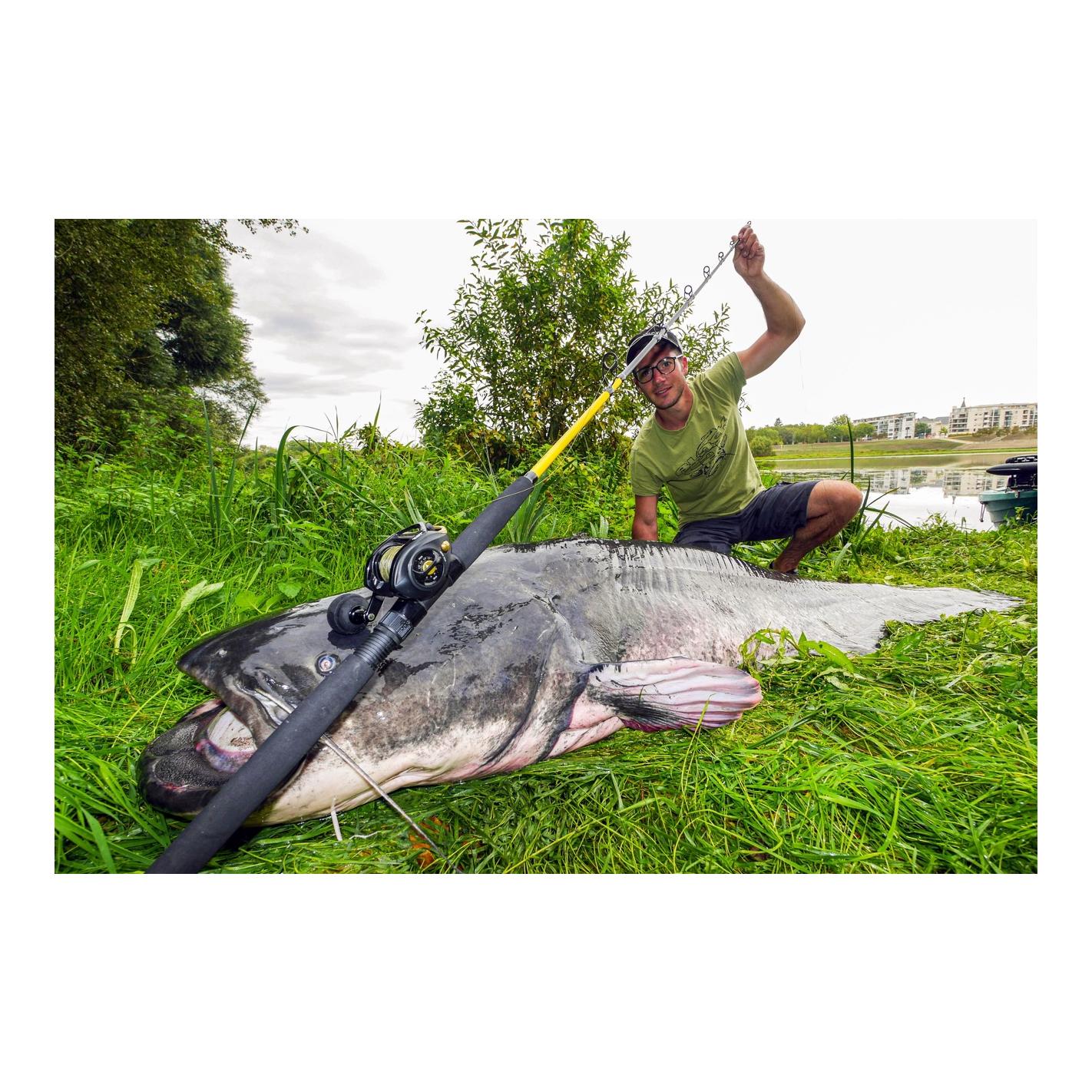 Black Cat Black Passion G2 Vertical 1,80 m – Welsrute