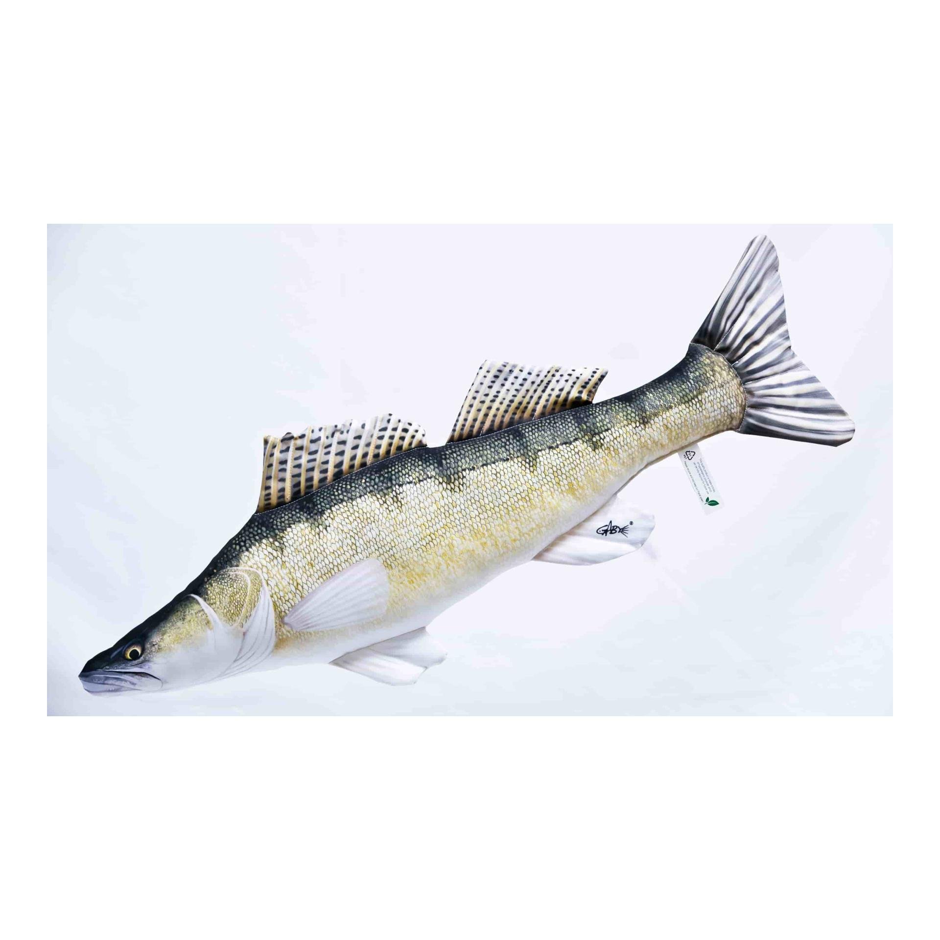 Zander - Stofffisch