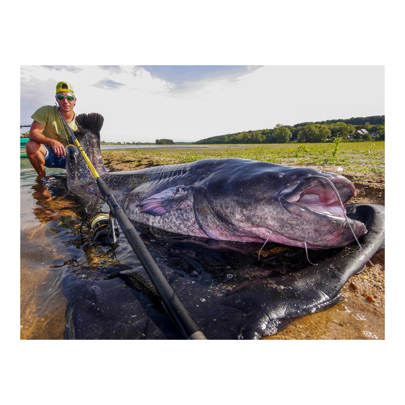 Black Cat Black Passion G2 Allround 2,70 m – Welsrute