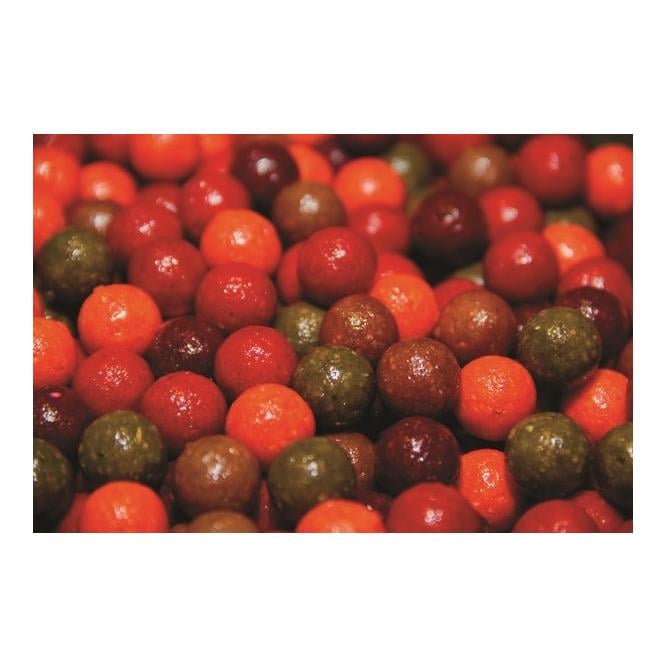 Carptec Boilies Scopex - Boilies