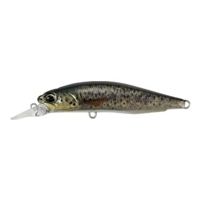 Brown Trout ND