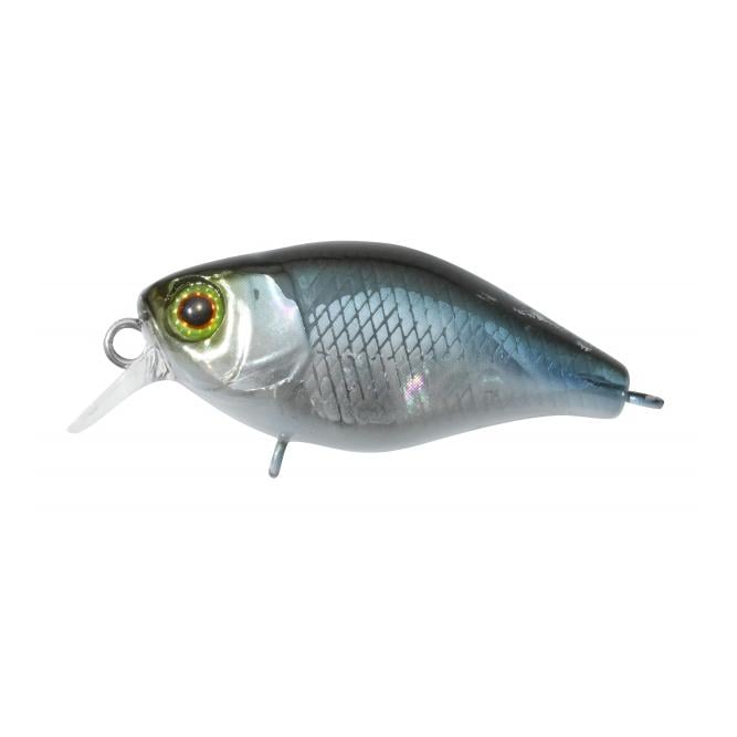 Illex Chubby 38 NF Ablette - Wobbler
