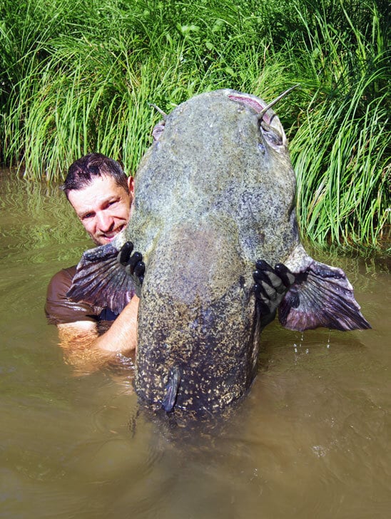 FI-Start-548x728-Wels-2 (1)