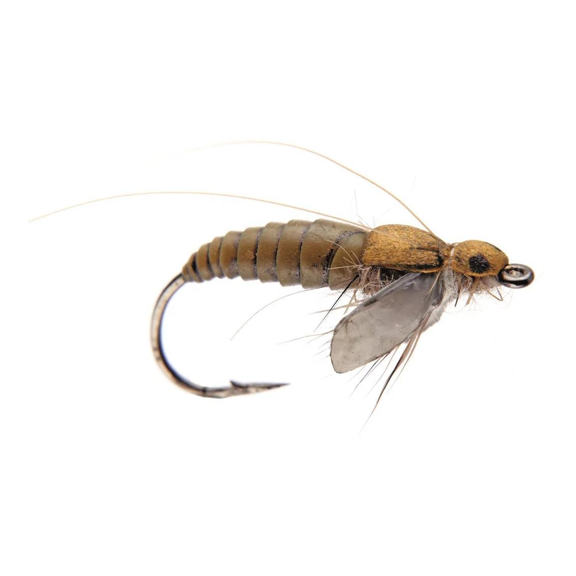 J:son Caddis Pupa - Nymphe - Olive Brown -