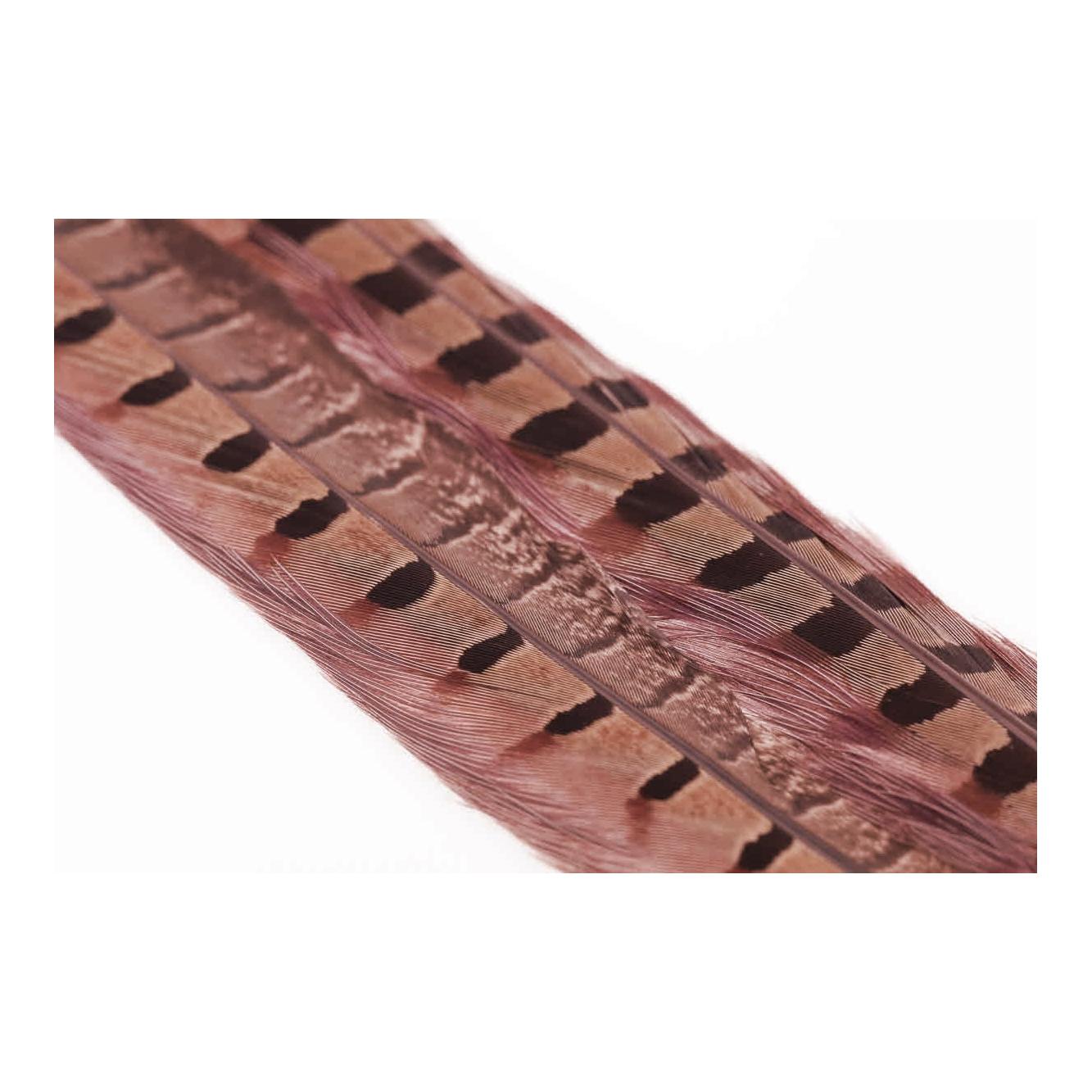 Image of Wapsi Ringneck Pheasant Tail Feathers Rusty Brown - Fasan bei fischen.ch