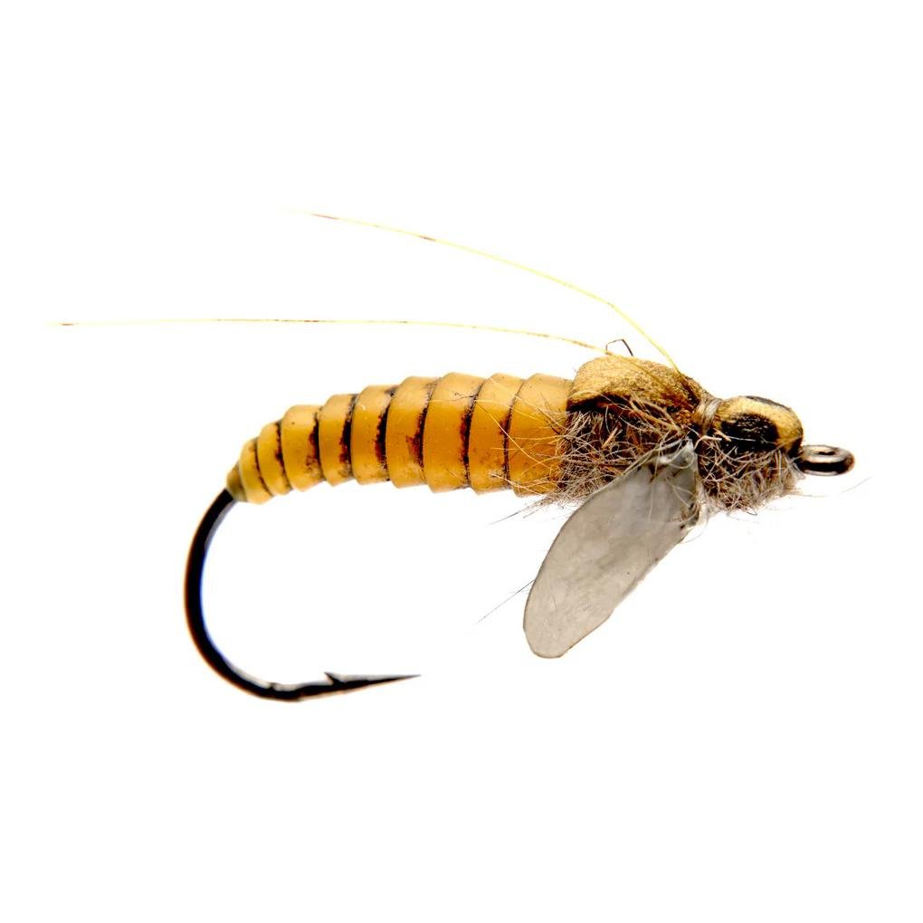 J:son Caddis Pupa - Nymphe - Yellow -
