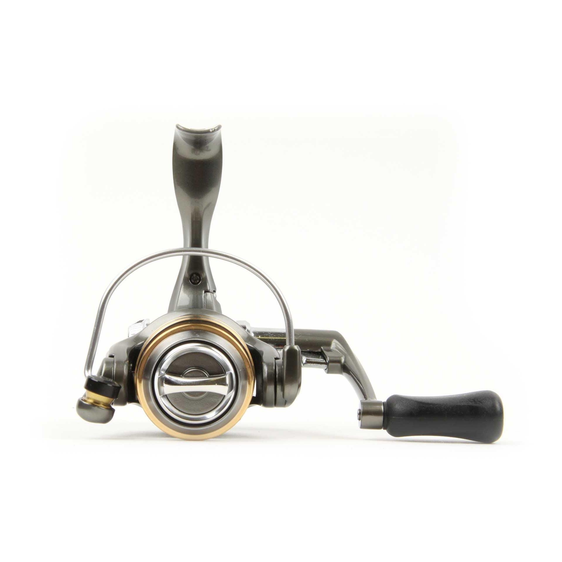 Coregone - Stationärrolle