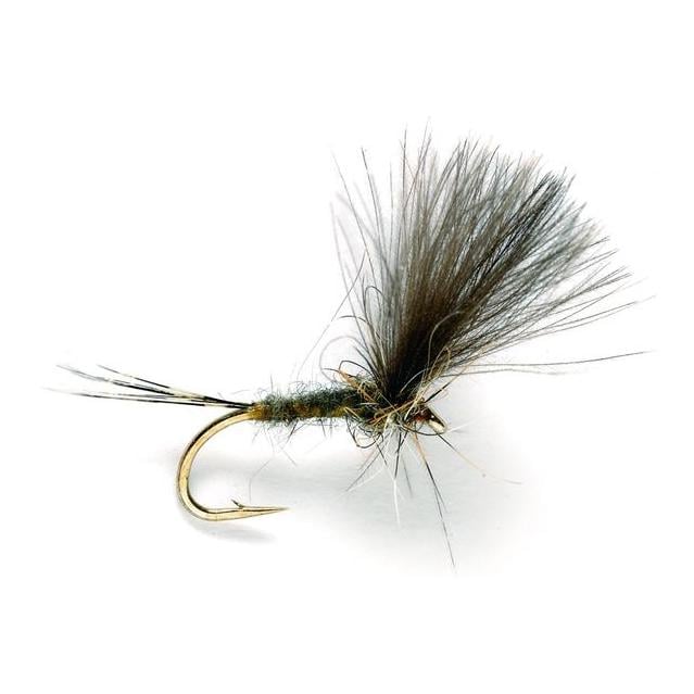 CDC Olive Dun - Trockenfliege