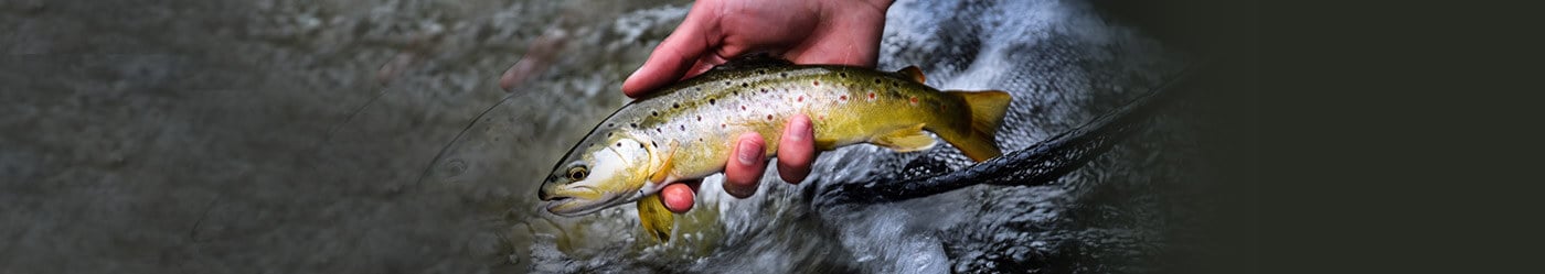 sportfischer-messe-header