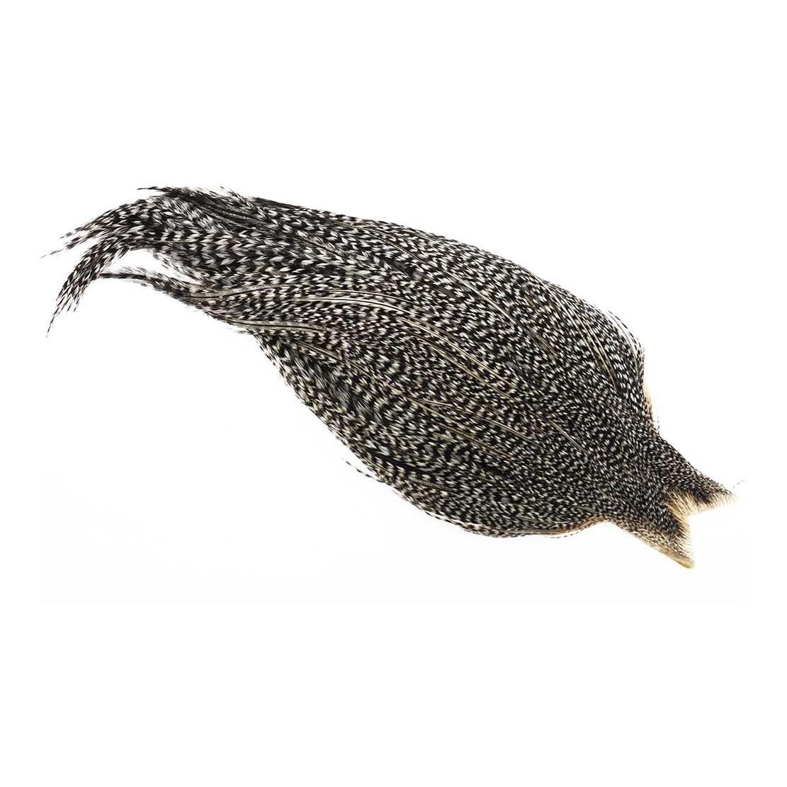 Image of Whiting Dry Fly Hackle - Grizzly Variant - Balg/Cape bei fischen.ch