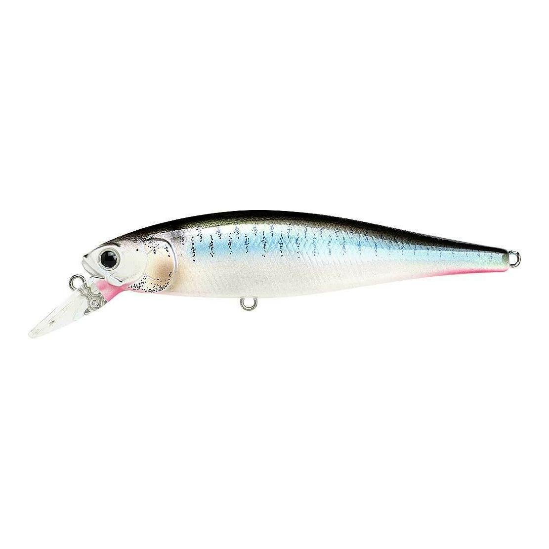 Image of Lucky Craft Pointer 100 SP - Wobbler - Live Threadfin Shad - bei fischen.ch