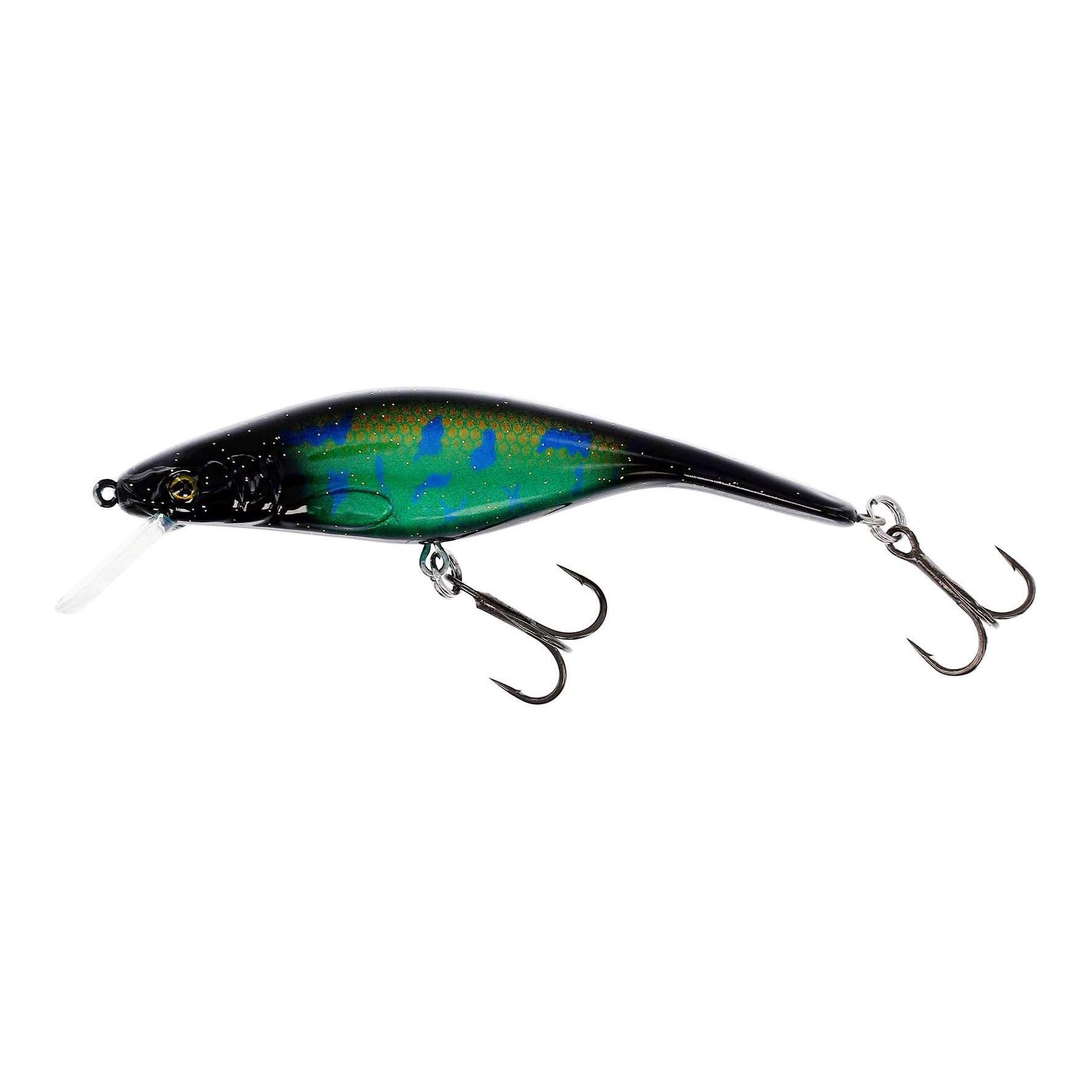 UV Dark Burbot