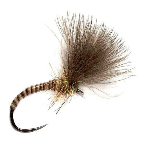 Image of Fulling Mill CDC Biot Quill Emerger o.W. - Trockenfliege bei fischen.ch