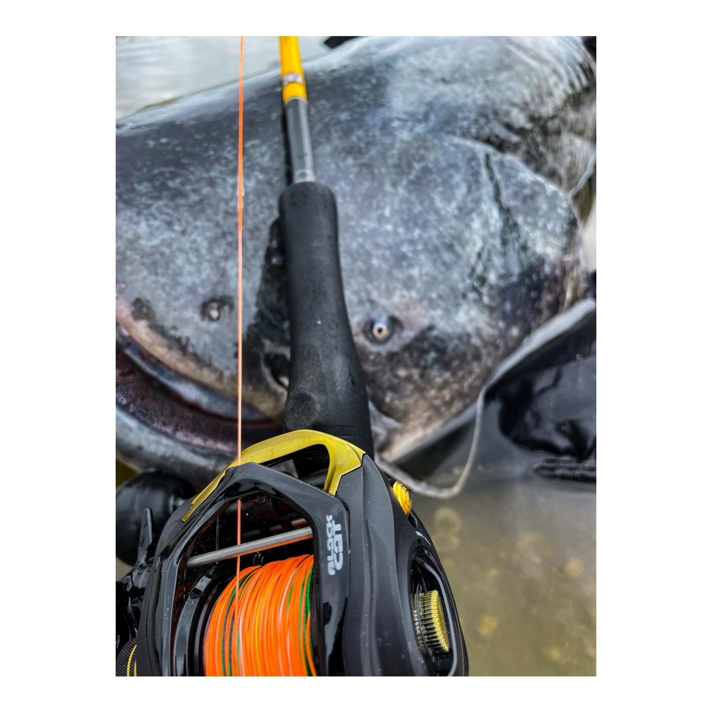 Black Cat Cast 301 LH - Linkshand-Baitcaster