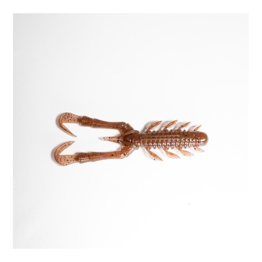 Brown Cinnamon Purple