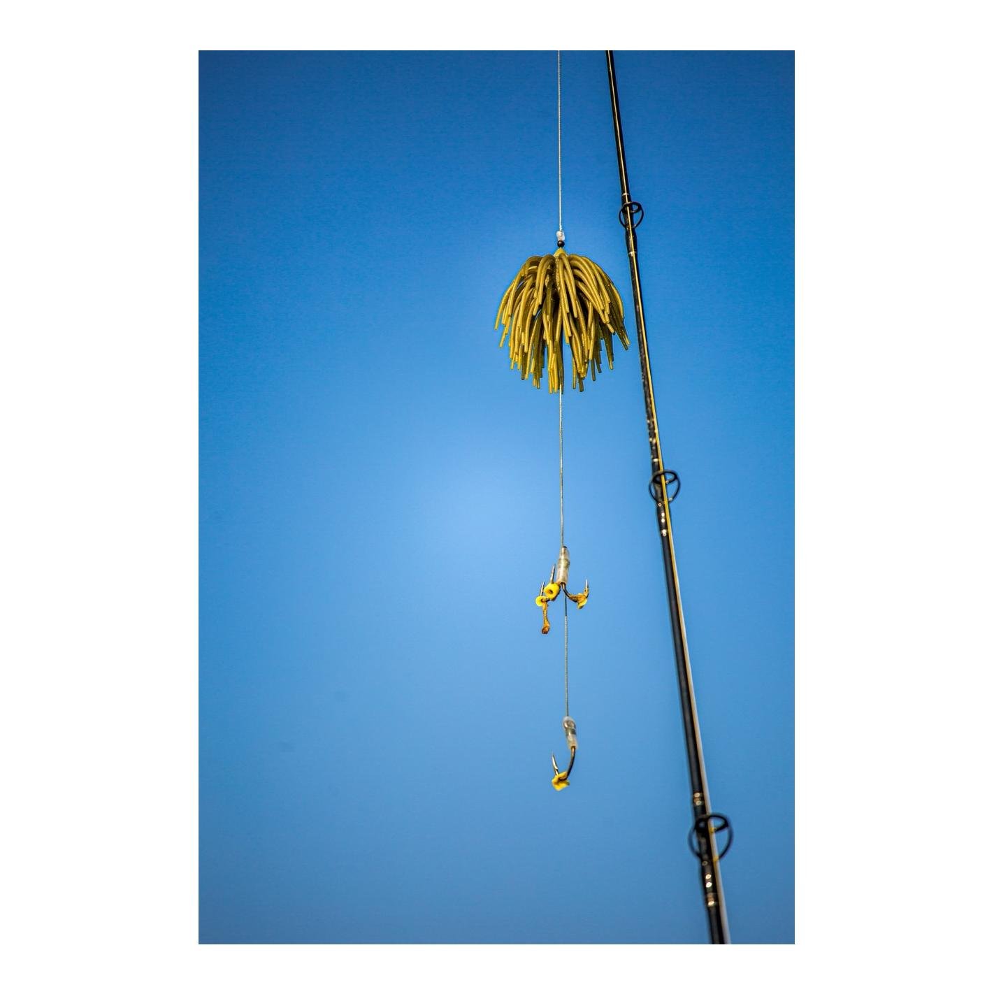 Black Cat Real Worm Teaser