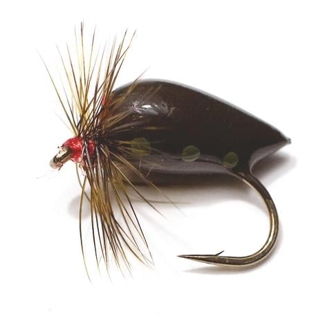 Fjell Pubban - Nymphe