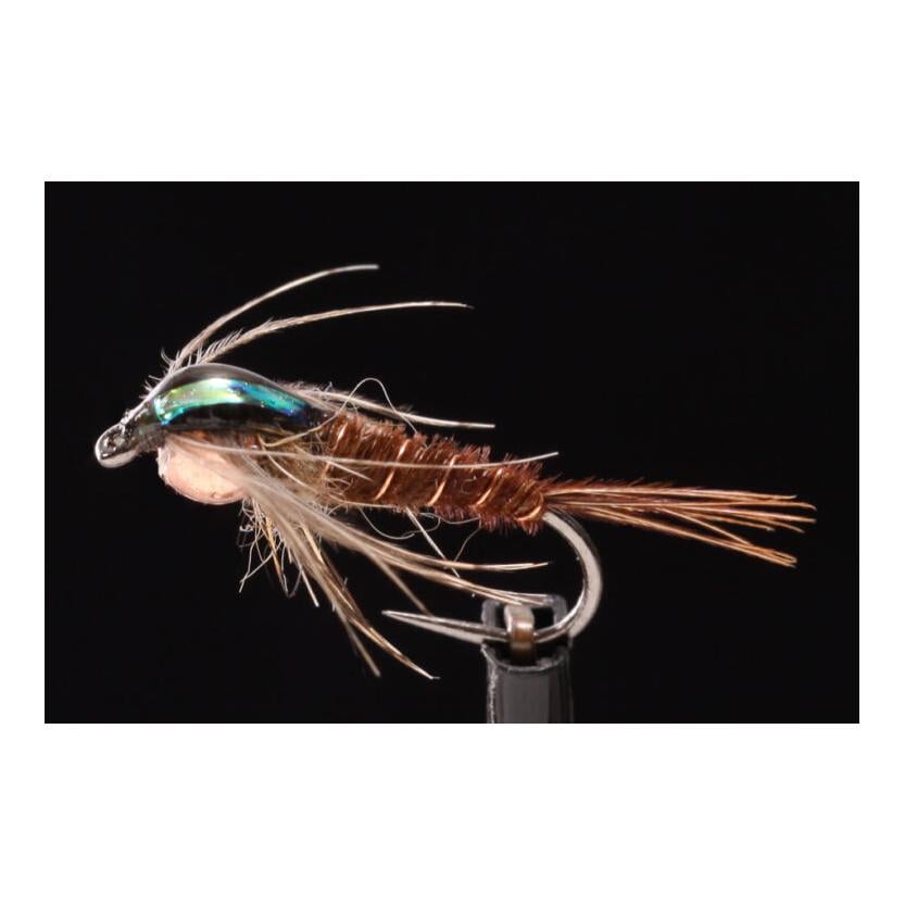 Nymphen Flashback Pheasant Tail Tungsten - Nymphe