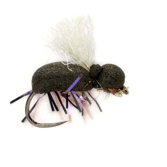 Image of Fulling Mill Procter's Target Beetle White o.W. - Trockenfliege bei fischen.ch