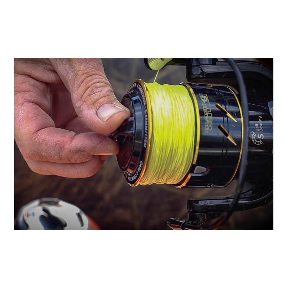 Black Cat Black Passion FD Stationärrolle