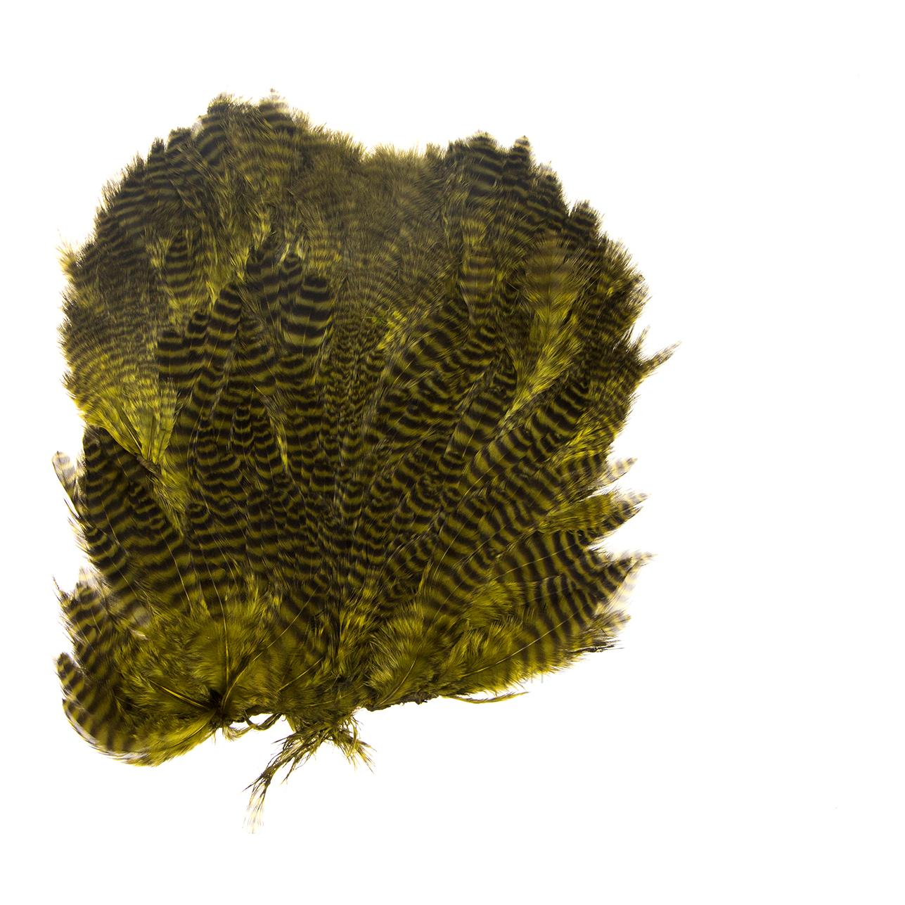Image of Hareline Dubbin Grizzly Soft Hackle Marabou Patch - Olive bei fischen.ch