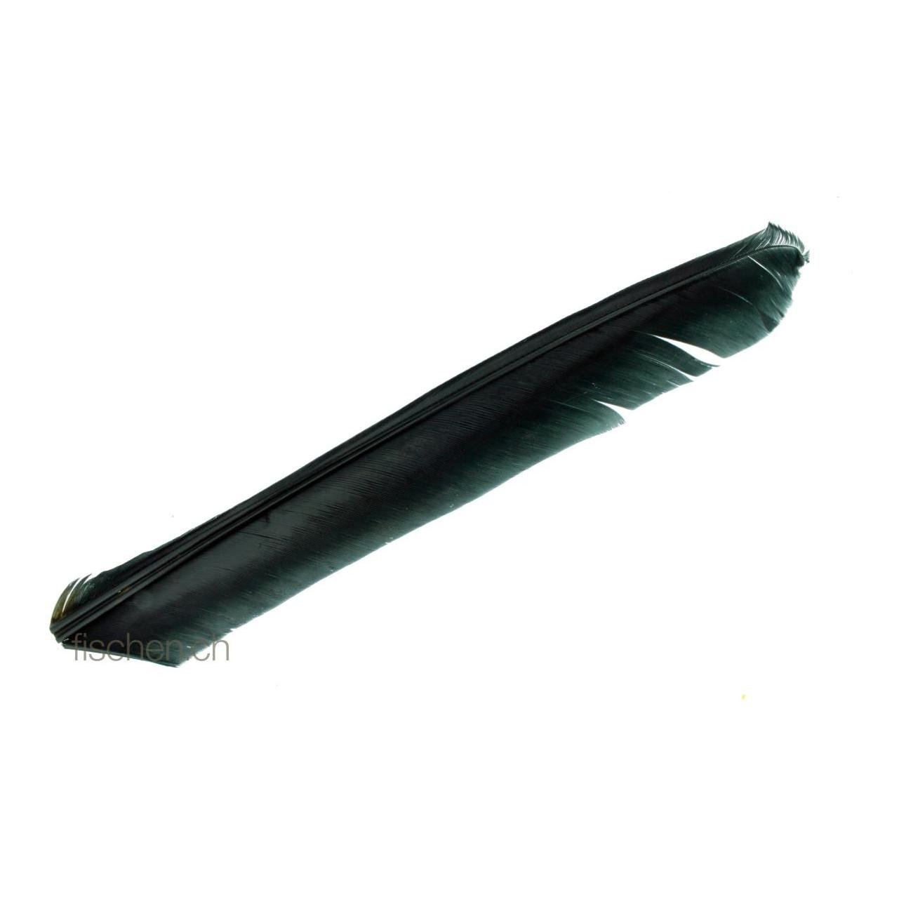 Hareline Dubbin Turkey Biot Quills - Black - Truthahn
