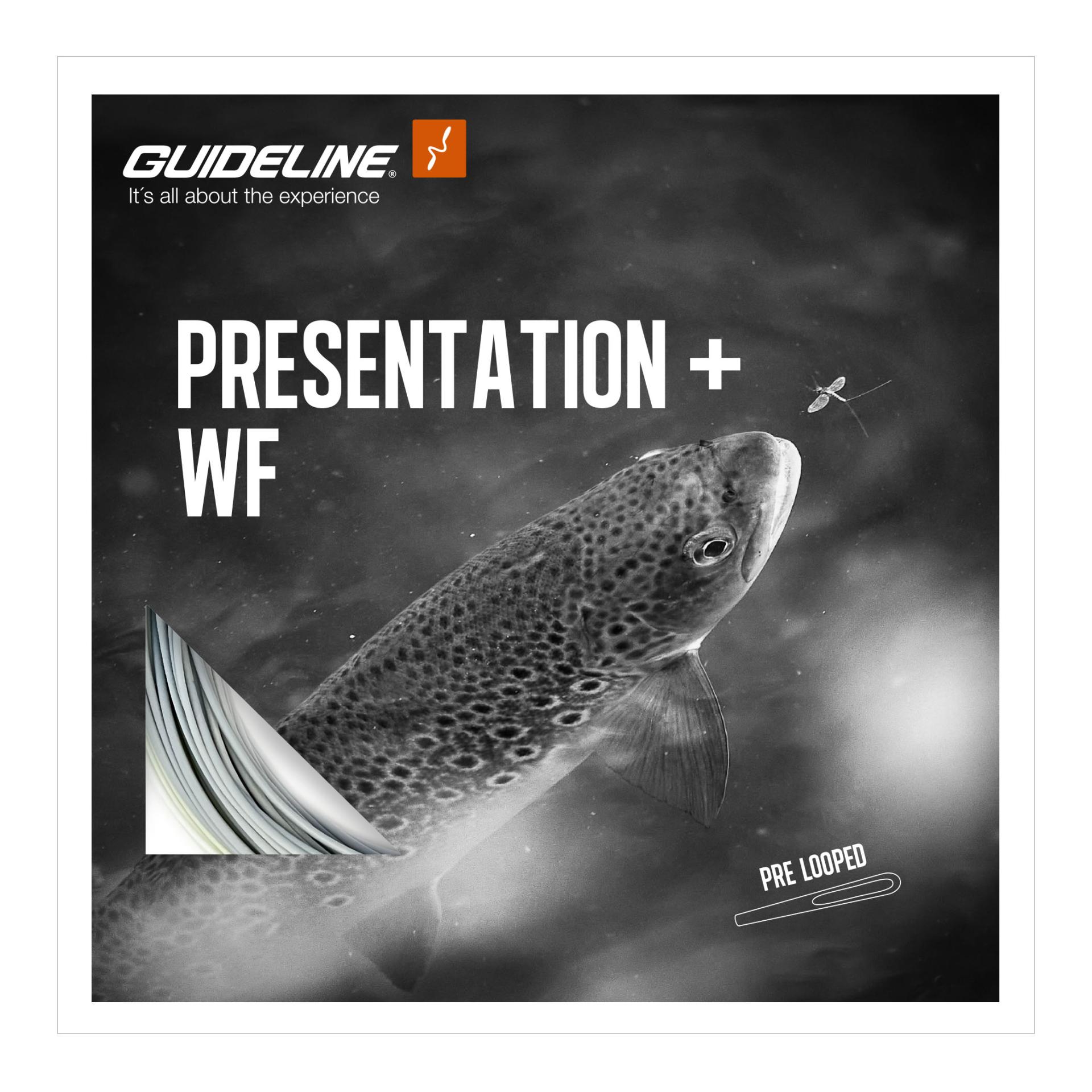 Presentation+ WF/F - Fliegenschnur