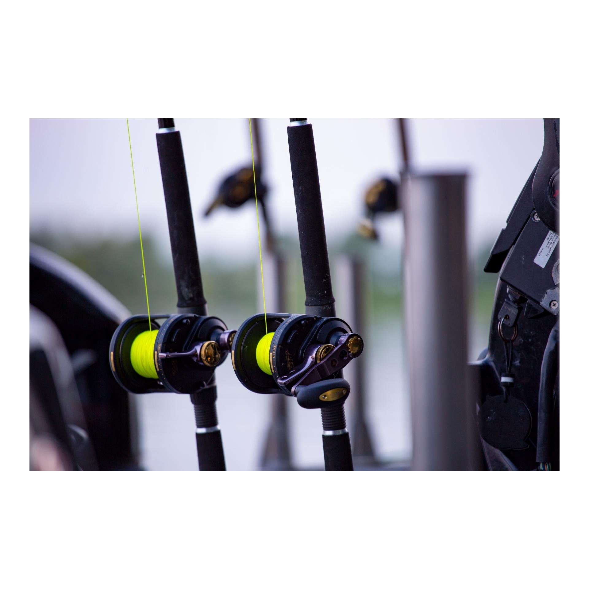 Black Cat Zeus Line G2, 400m