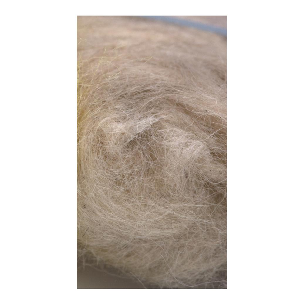 Image of Semperfli Kapok Dubbing Tan bei fischen.ch