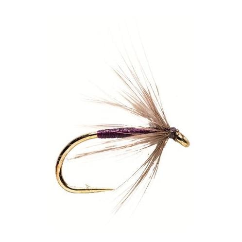 Snipe & Purple - Nassfliege