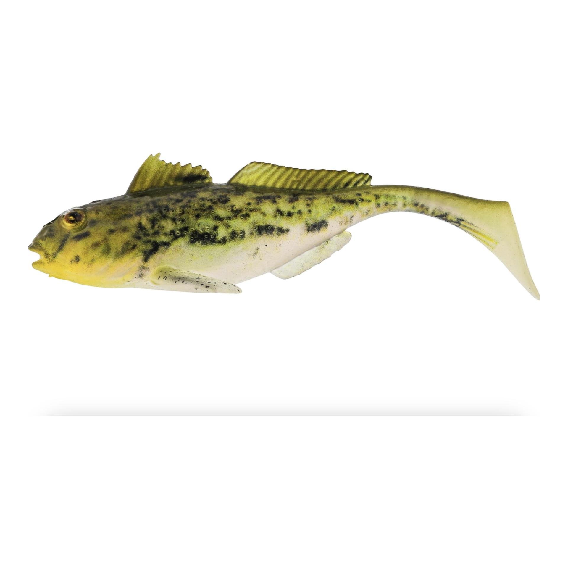Westin Gunnar the Goby