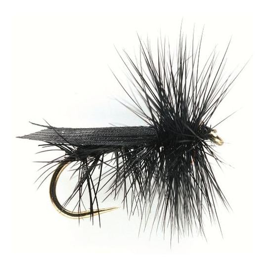 Image of Fulling Mill Sedge Black Italy - Trockenfliege bei fischen.ch