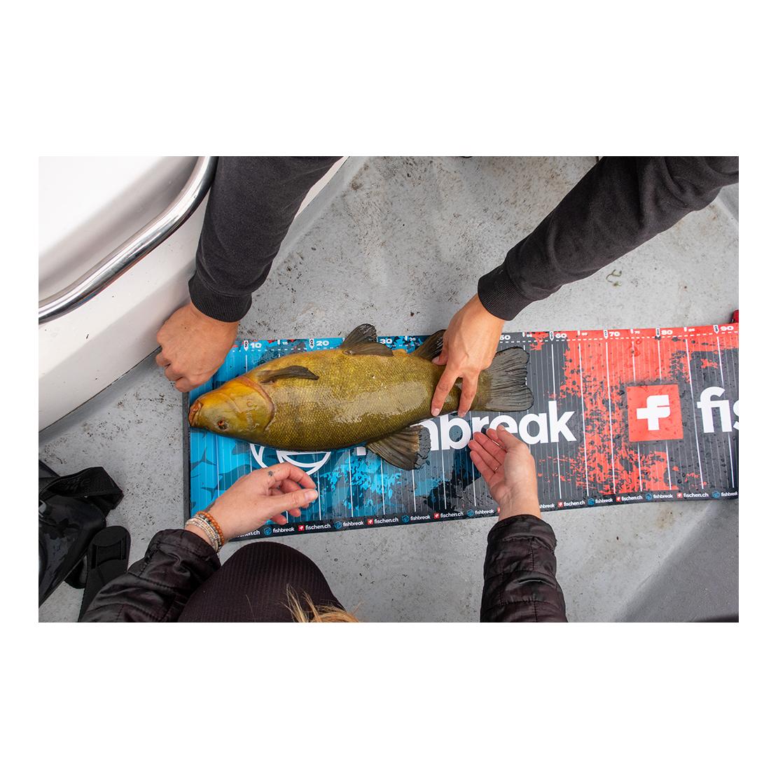 Measure Board fishbreak/fischen.ch