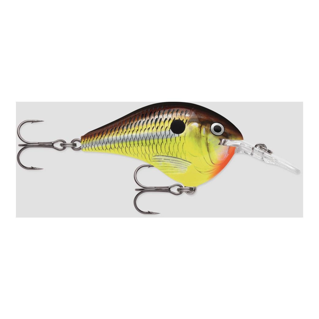 DT® (DIVES-TO) SERIES – Poisson nageur