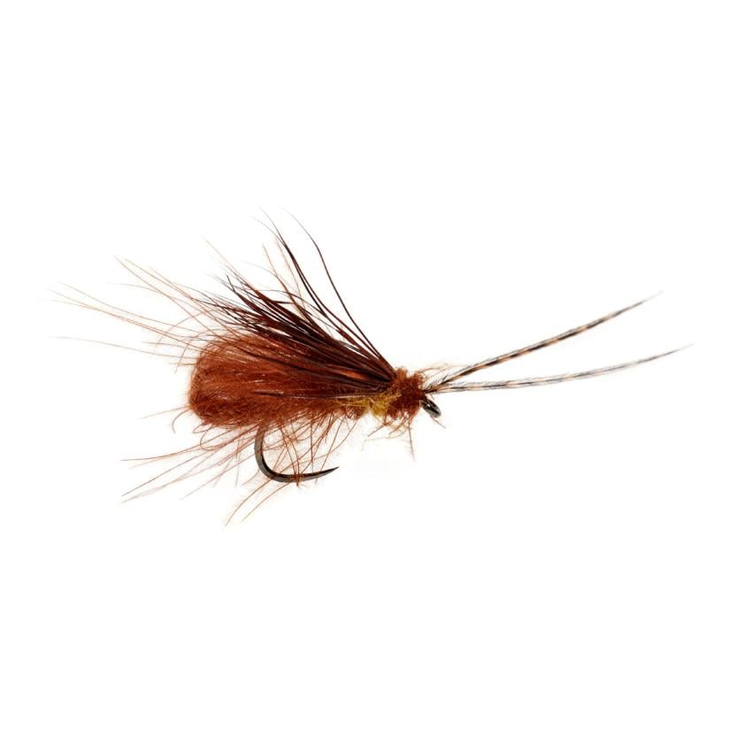 Image of Fulling Mill McPhail Bubble Wing Caddis Chocolate Drop o.W. - Trockenfliege bei fischen.ch