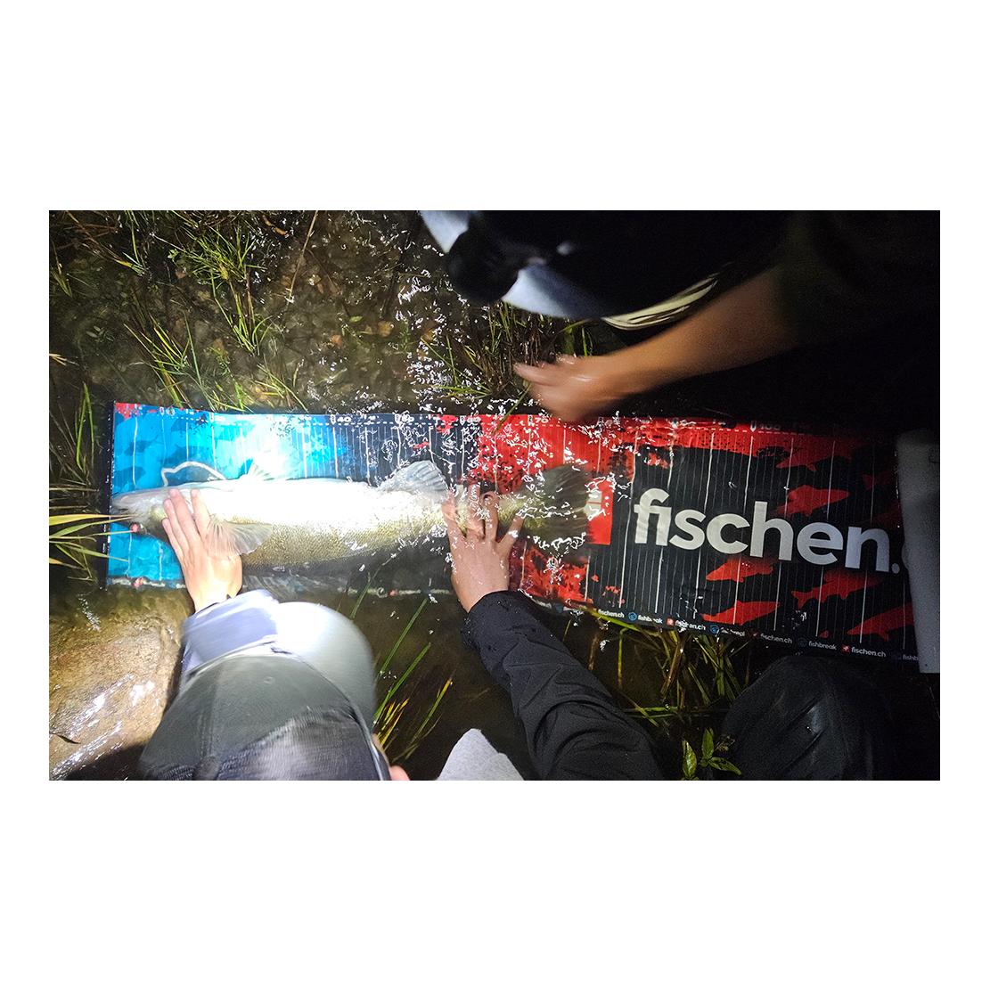 Measure Board fishbreak/fischen.ch