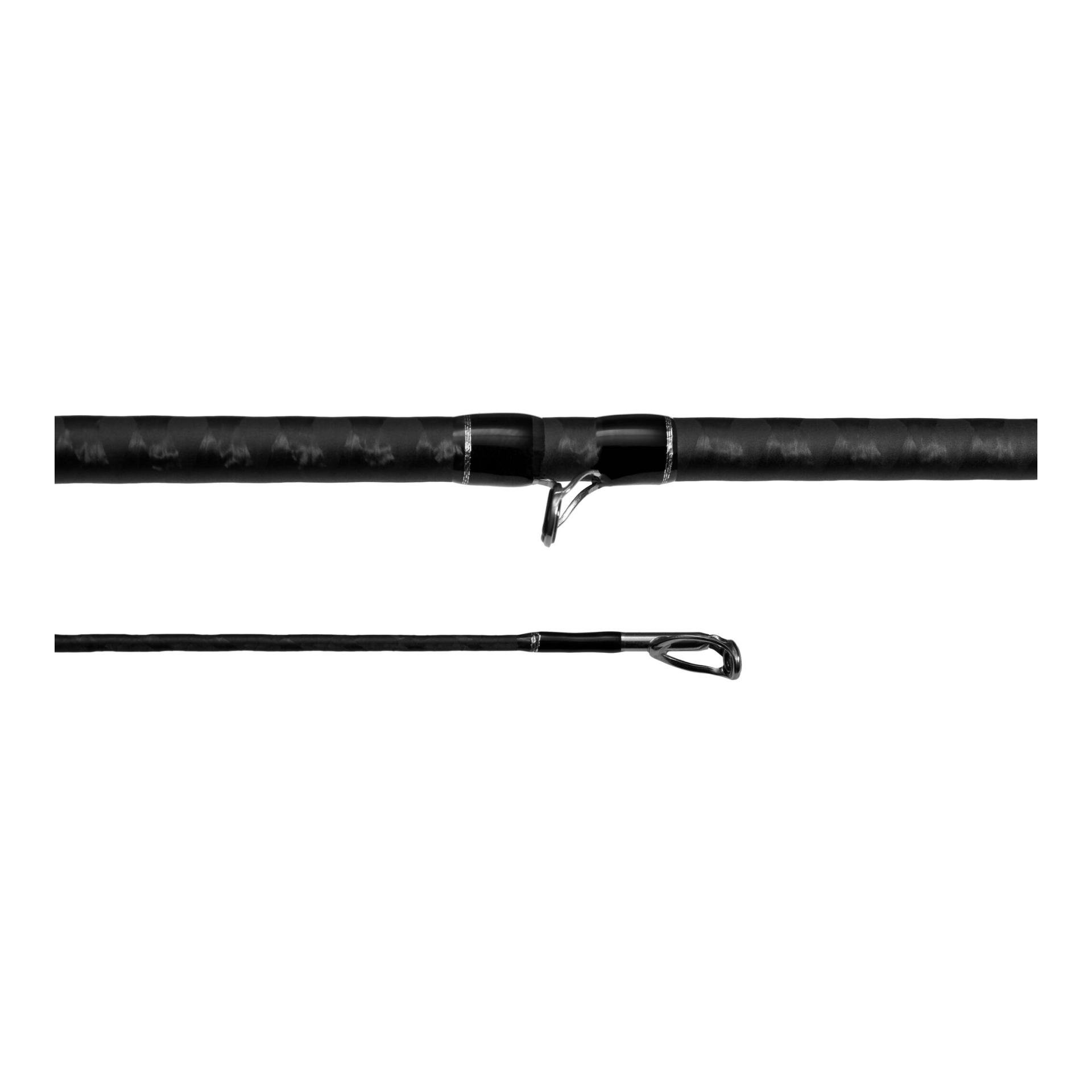 Surgeon C - Castingrute