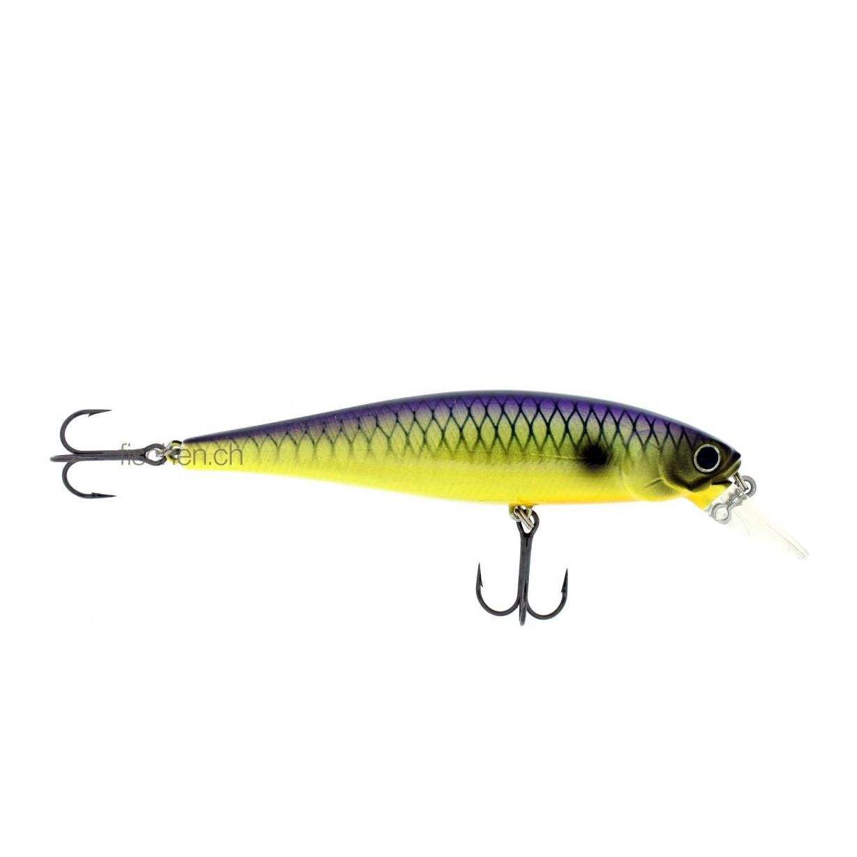 Pointer 100 SP T-Rex - Wobbler