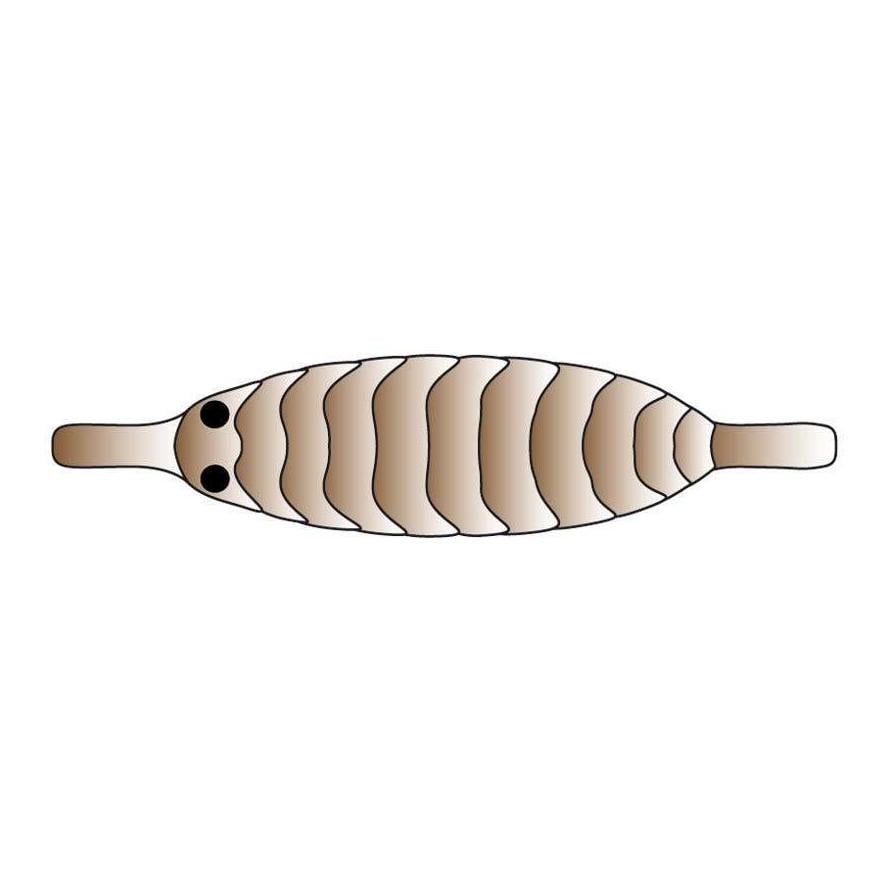 Image of Pro Sportfisher Pro Gammarus - brown bei fischen.ch
