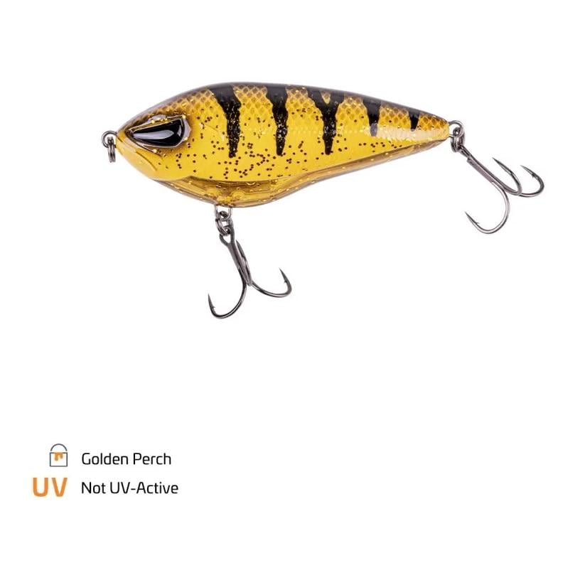 Golden Perch